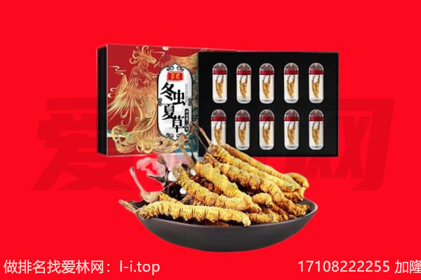 连山区回收虫草.jpg